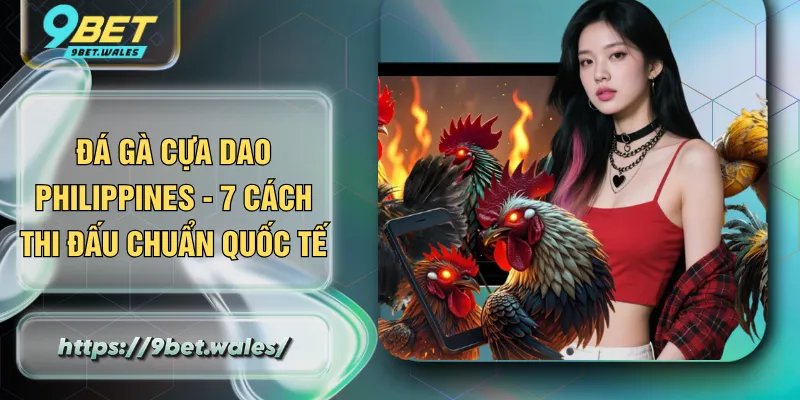 Đá Gà Cựa Dao Philippines - 7 Cách Thi Đấu Chuẩn Quốc Tế