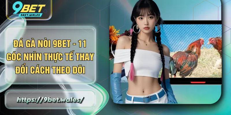 Đá Gà Nòi 9BET - 11 Góc Nhìn Thực Tế Thay Đổi Cách Theo Dõi