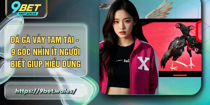 Đá Gà Vảy Tam Tài - 9 Góc Nhìn Ít Người Biết Giúp Hiểu Đúng