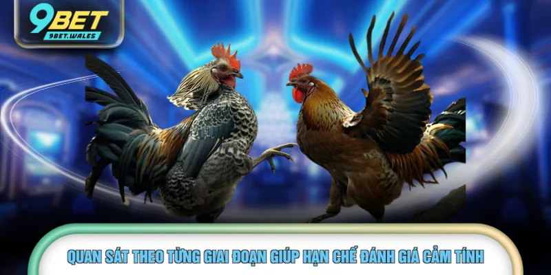 Quan sát theo từng giai đoạn giúp hạn chế đánh giá cảm tính