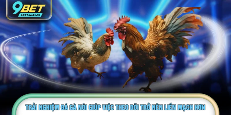 Trải nghiệm đá gà nòi giúp việc theo dõi trở nên liền mạch hơn