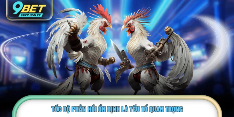 Tốc độ phản hồi ổn định là yếu tố quan trọng